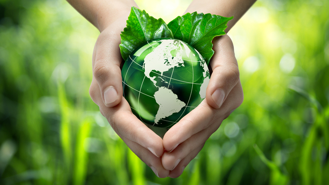 Hands holding green globe