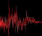 seismic movement graph