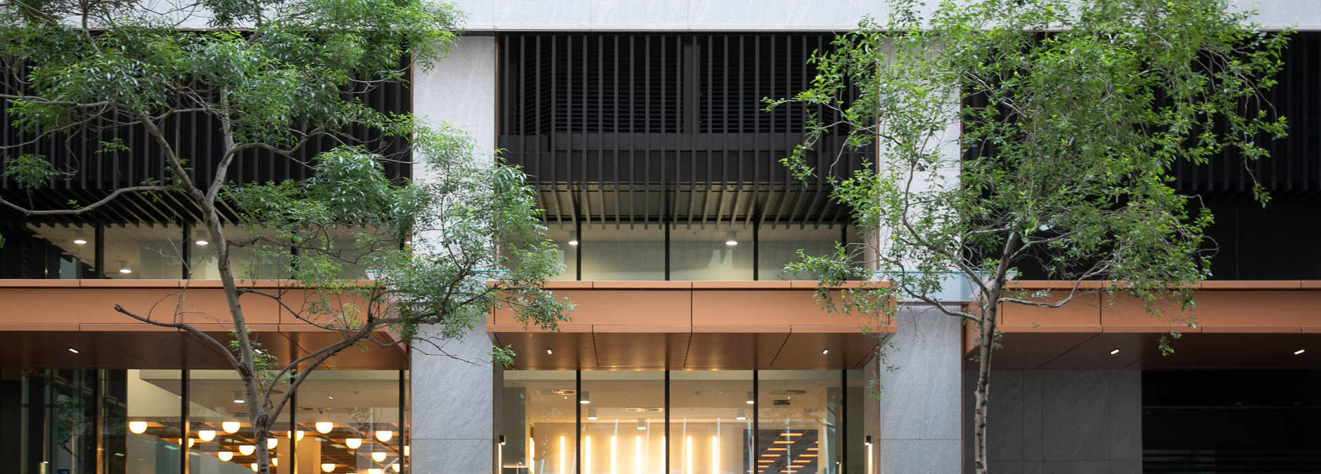 270 Pitt St_019A9891.jpg