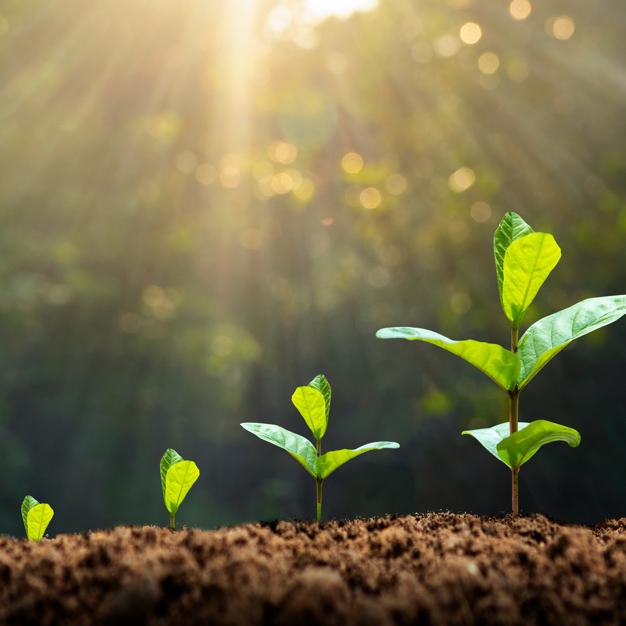 Spring Trends Blog 1