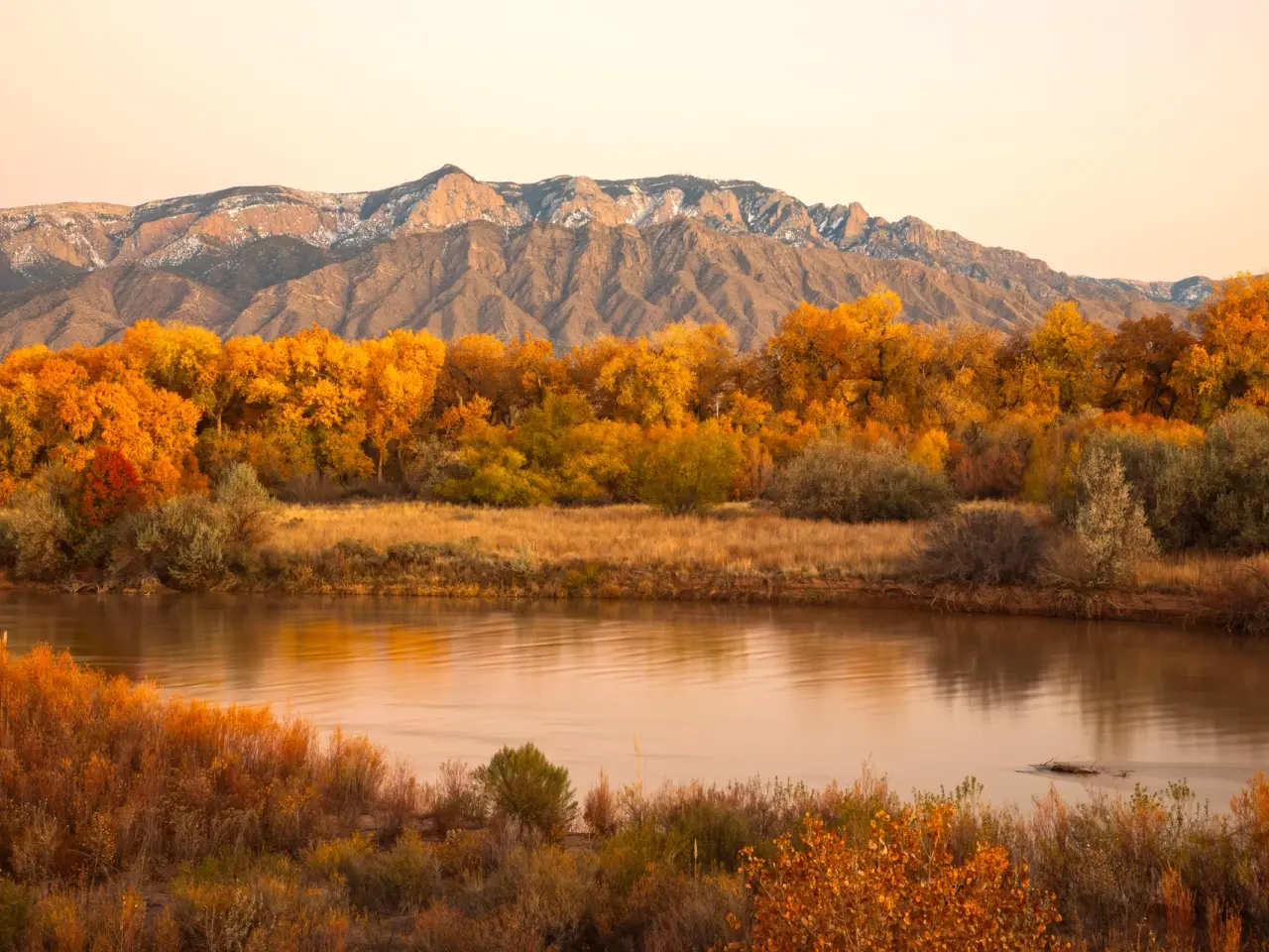 Fall Colors 1