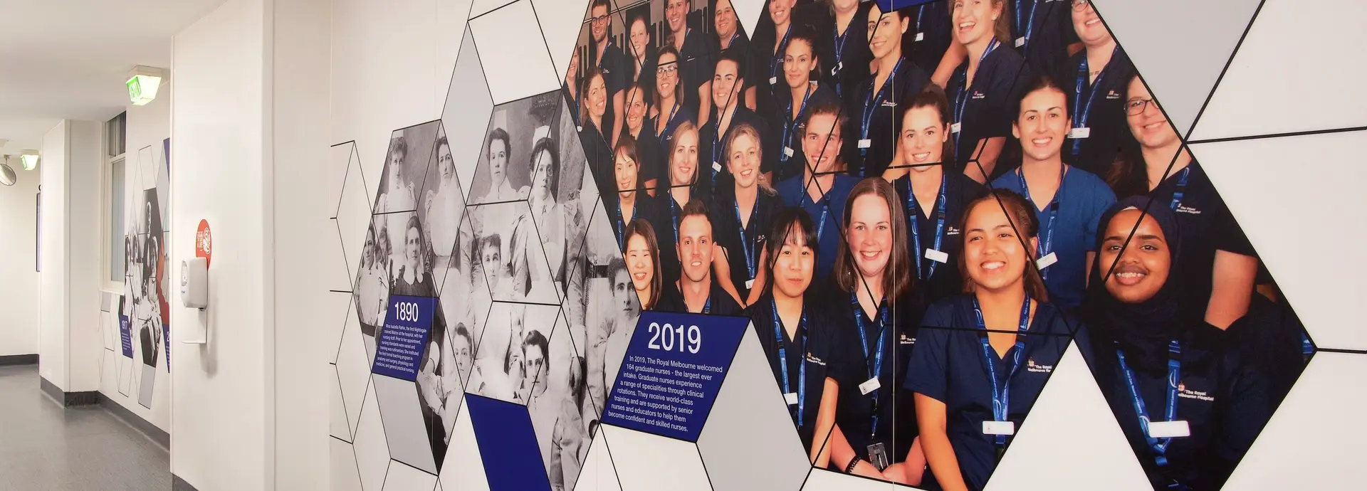Royal Melbourne Hospital 6