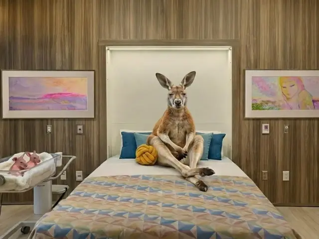 Aus Animals 1