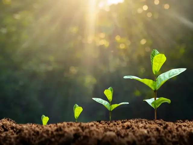 Spring Trends Blog 1