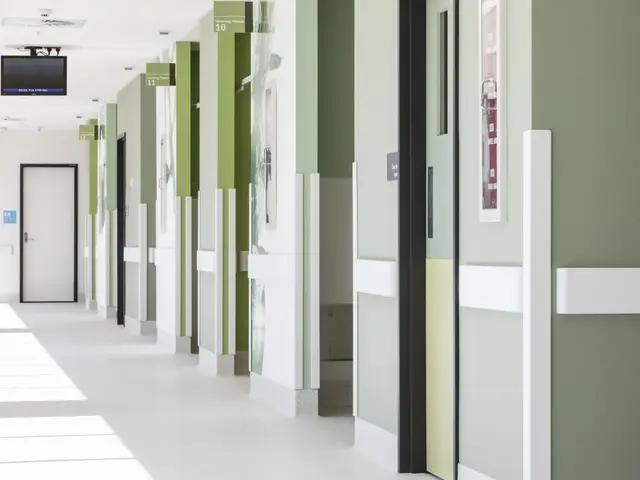 Northern Beaches Hospital_21