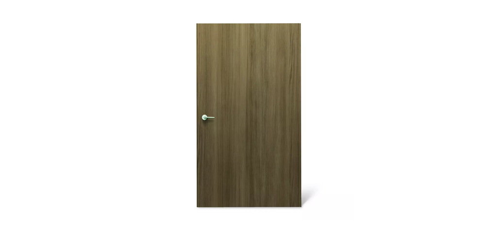 Flush Door