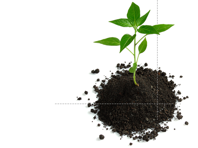 Sustainability Banner