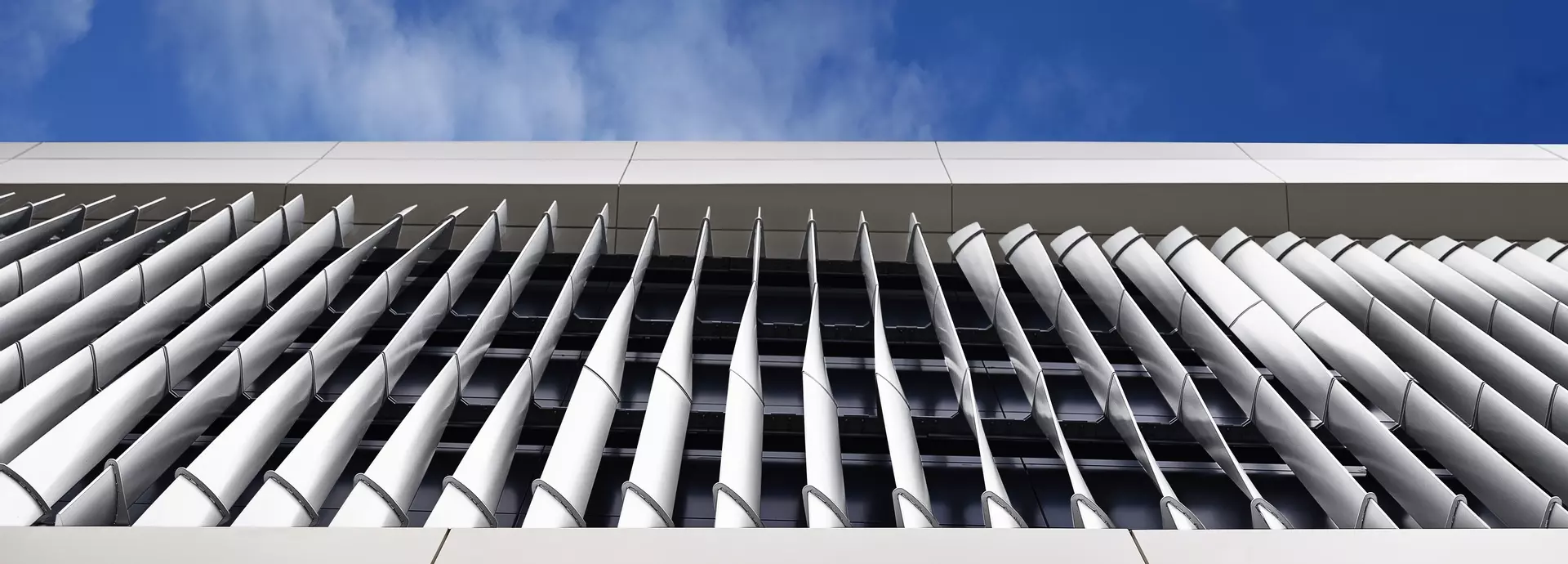 Savannah College of Art and Design twisted sunshades