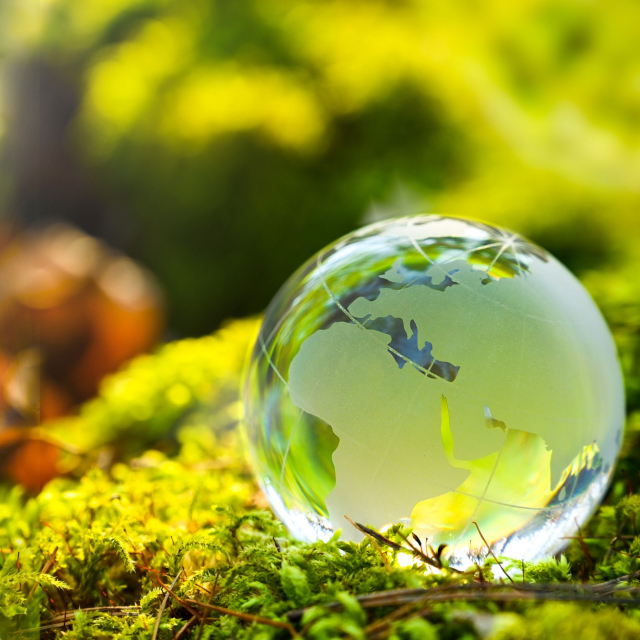 Looping in Sustainability640x640.jpg
