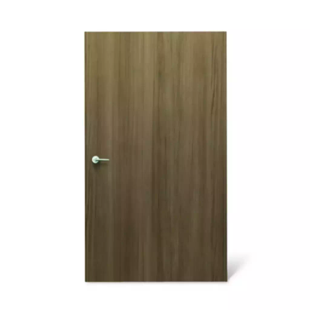 Flush Door