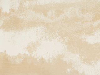 Florina Sandstone