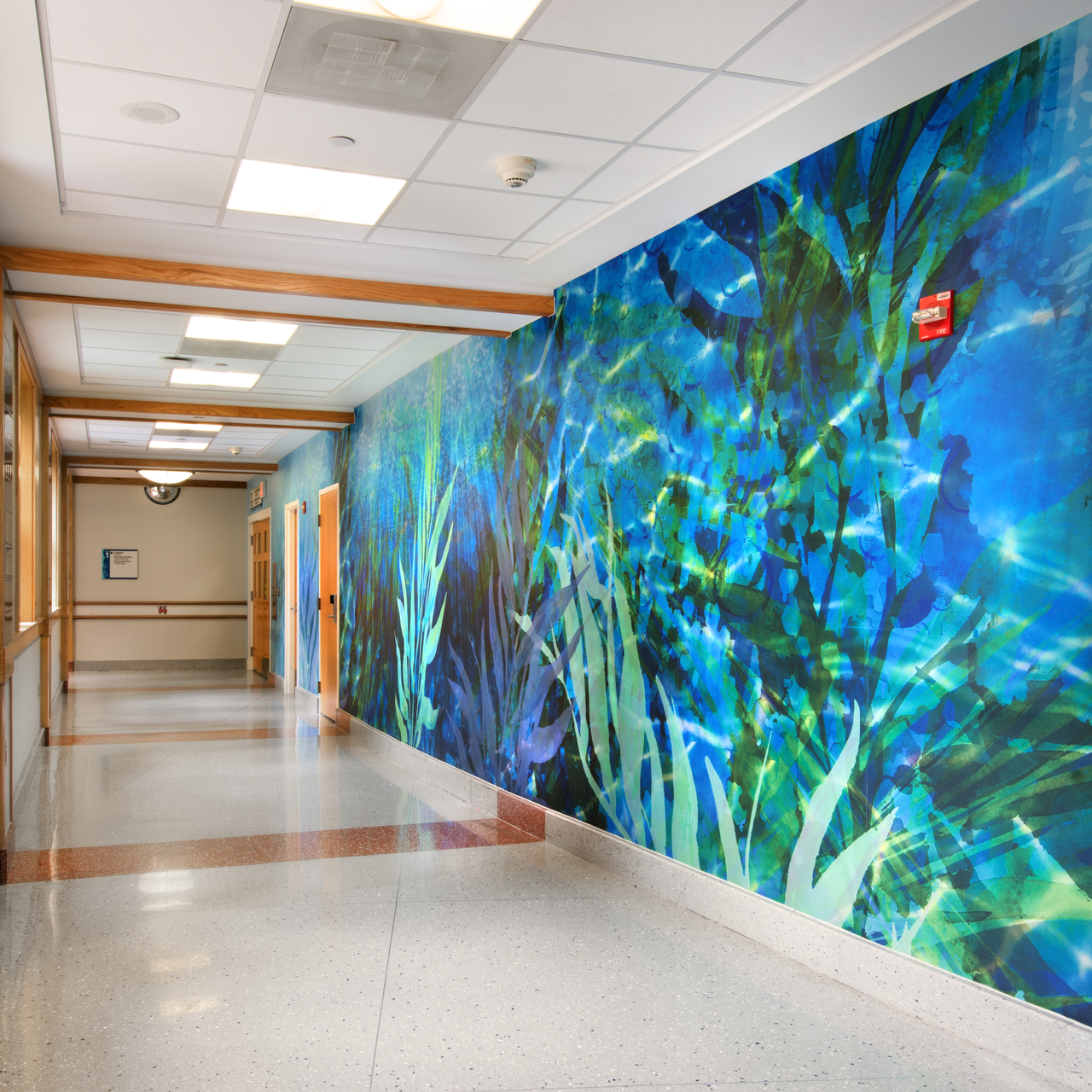 Riley Hospital for Children 5