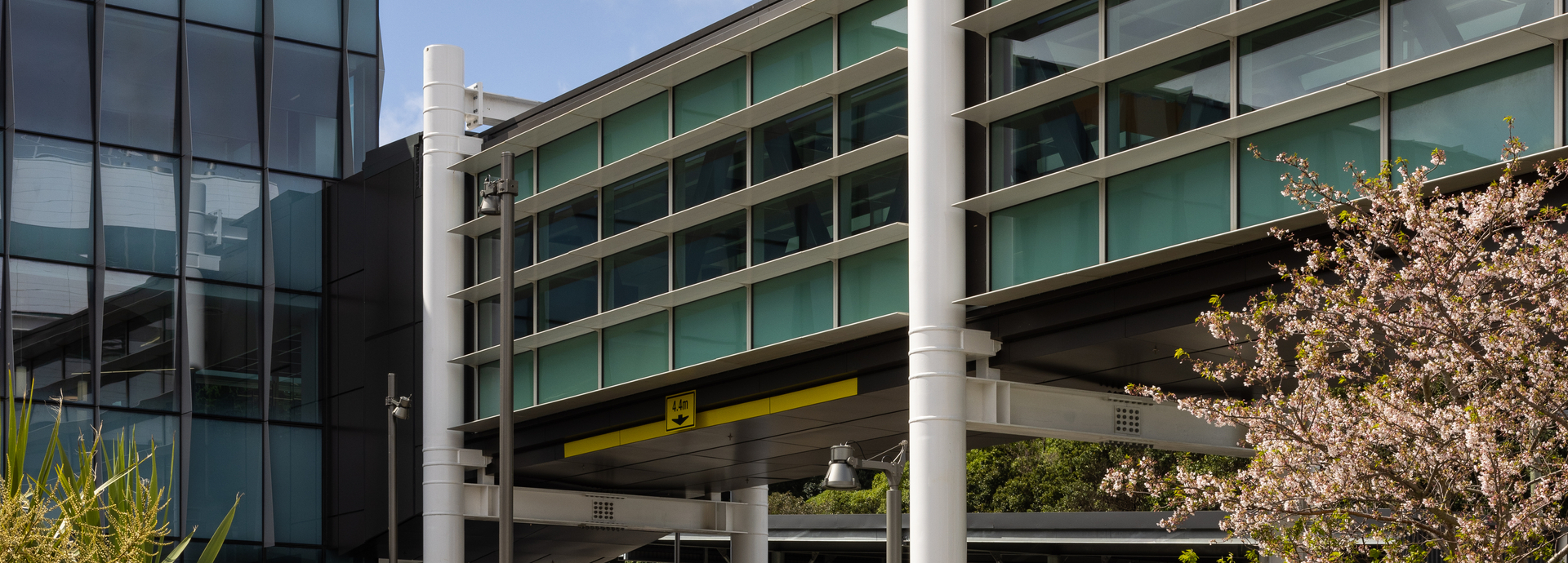 Wellington Children's Hospital 3