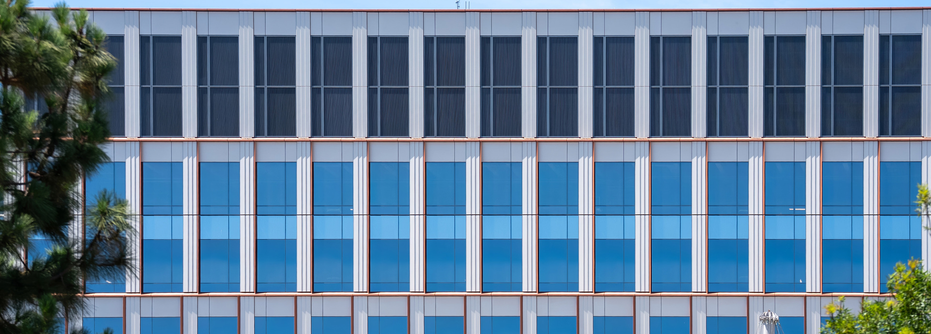 IQHQ/ RaDD 14
