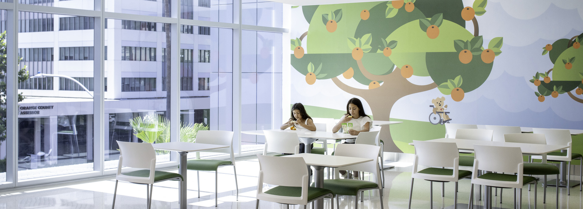 CHOC SW & North Towers 6