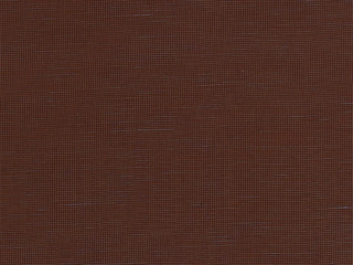 Copper Horizon