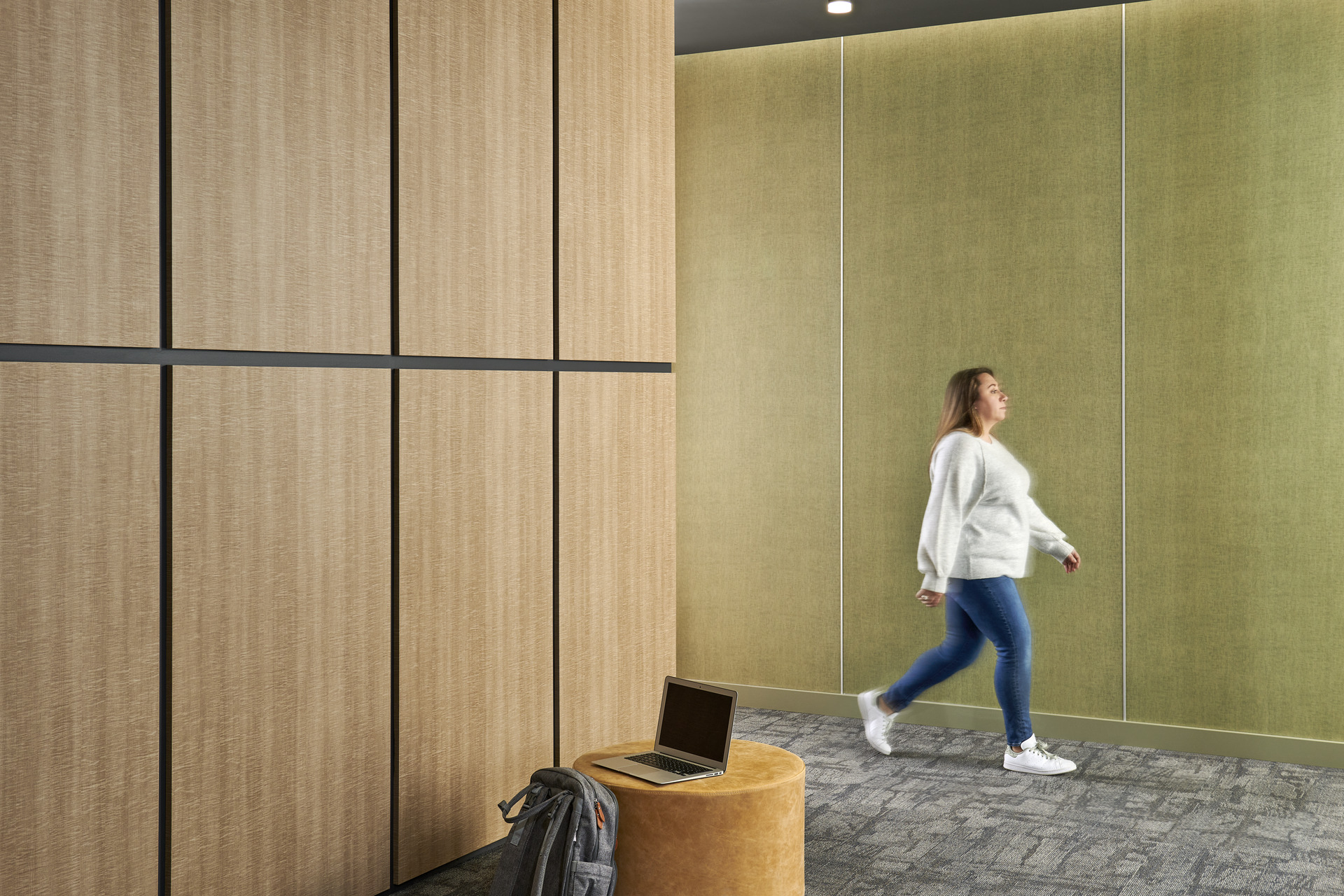 Higher Education Wall Paneling