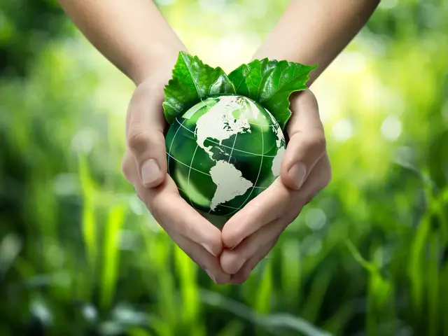 Hands holding green globe