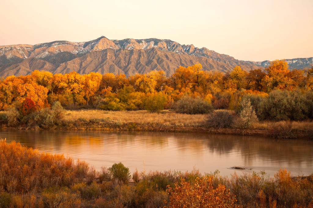 Fall Colors 1