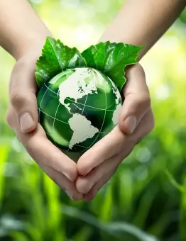 Hands holding green globe